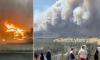 Catastrophic fast-moving fire tears through Spokane as thousands flee their homes and 4,000 buildings to be razed to the ground