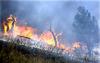 Skillet Fire Forces Evacuations as All of Montana Burns Under Red Flag Warning