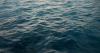 1 dead, 1 hurt after boat runs aground in Detroit River near Celeron Island