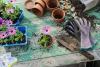 Colorado Springs area home and garden events starting Aug. 1