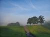 Weather: Unsettled, humid conditions for most of the week