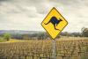 Australian wine exports drop to 22-year low
