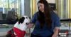 Flipping the script: USask research focuses on therapy dog’s perspective