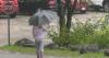 Environment Canada issues another alert for rain, here’s when we’ll see sun