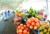 SQU study highlights six technologies to reduce post-harvest losses