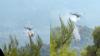 Two dead after Australian firefighting helicopters collide in Greece