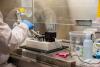 UMass Amherst professor gets $1.3M grant to develop more accurate at-home HIV test