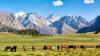 Unexpected Asian country seeing influx of Aussie tourists