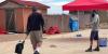 Leave it: Arizona dog trainers help pets avoid venomous snakes