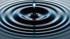 Shrinking sources, growing need: Could Florida run out of water?