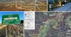 Mega-convoys, tree clearing and 240m towers: bumper wind farm faces crucial test