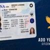 Free Montana ID renewals extended as citizenship marker demand surges