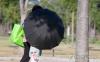 Temperatures soar to record 42.5 C in southeast South Korea