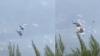 After Deadly Helicopter Collision, Focus Shifts to Greece's Firefighting Contract