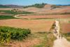 Camino De Santiago Attracts 500,000 Visitors A Year, But Climate Change Threatening The Tradition