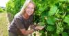 Farm director nominated for major farming award
