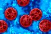 Tracking of Contaminated Food Threatened by Strain on Public Health Budgets