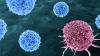 Biotech Stocks Need A Shot In The Arm After Brutal July: Could AstraZeneca-Bristol Myers Megadeal Be The Cure?