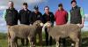 Buyers willing to travel for meaty, white wool rams at Sandalwood Poll