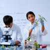 Play, Explore and Discover More at National Science Week 2026