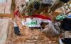 Tiny militias threaten to draw Middle East into forever war