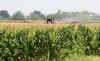A Supreme Court Win for Roundup Clouds the Case Against Paraquat