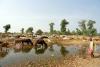 India’s environmental crisis undermines its great-power ambitions