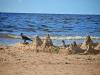 Latvia to enjoy a dry and warm start to the week before weather takes a turn