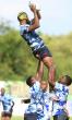 Marauding Wildebeests charge to success