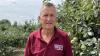 'We suncream apples' - how heatwaves are affecting farming