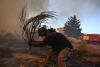 Europe's hot, dry summer takes its toll with fires in France and Greece, and drought in the UK