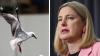 Agriculture Minister confirms 74 cases of H5 bird flu recorded in Australia, first mass mortality event