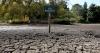 Heat health alerts cover nearly all of England – but rain is finally on the way