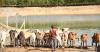 Beyond drought: The battle to protect Karamoja’s livestock future