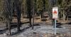 Fires in Spain today, August 3: Fermoselle remains active while the large summer fires improve