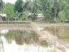 India News | Assam Floods: Improvement in Golaghat but Families Remain Displaced; Locals Demand Alternate Drainage Channel