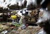 Indonesia’s growth likely slowed in Q2 as consumption, exports weakened