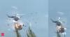 Caught on Video: Two helicopters collide battling Greece wildfires, 2 dead