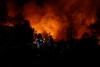 Cyprus ‘ready to assist’ Greece in battle against wildfires, Christodoulides says