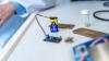 Researchers Develop Biodegradable PCB Made from Fungal Waste That Dissolves in Water