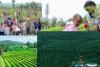 The Power of Millions: Ethiopia’s Single-Day Tree-Planting Climate Action