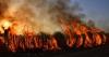Volunteer wildfire group calls for partnership with Scottish Fire Service