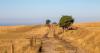 Drought exposes crisis in farming