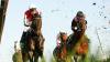 Tips and race-by-race guide for Quirindi on Tuesday