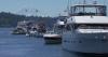Security top of mind for Seafair Festival goers, following the Bite of Seattle shooting