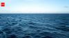 Scientists claim the shrinking Pacific Ocean will lead to the formation of a new supercontinent 'Amasia'
