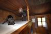 Germany’s alpine huts deploy dogs and microwaves to beat bed bugs