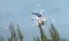 2 killed as firefighting helicopters collide midair in Greece