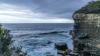 Fossilized plants offer a new route to analyze Earth’s past atmosphere