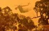World AFP What Europe can learn from Australia's 'Black Summer' wildfires